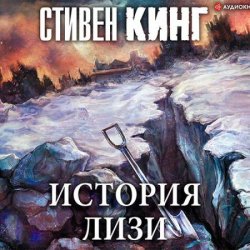 История Лизи (Аудиокнига) читает Князев Игорь