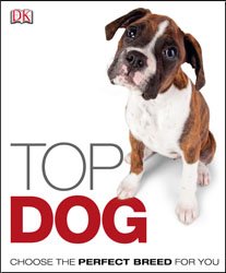 Top Dog: Choose the Perfect Breed for You