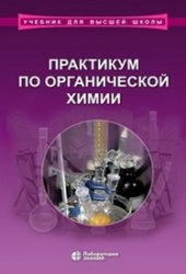 Практикум По Органической Химии (2020) » Vtome.Ru - Электронная.