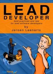 Being a lead software developer