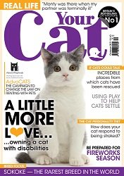 Your Cat – October 2021