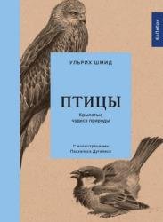 Птицы. Крылатые чудеса природы