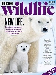 BBC Wildlife – December 2021