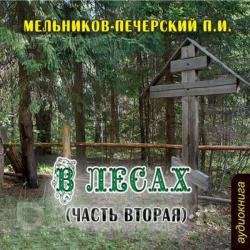 В лесах (часть вторая) (Аудиокнига)