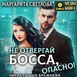 Не отвергай босса, опасно! (Аудиокнига)