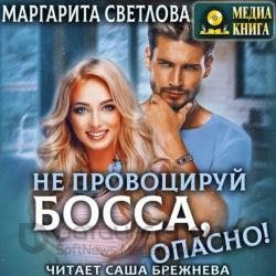 Не провоцируй босса, опасно! (Аудиокнига)