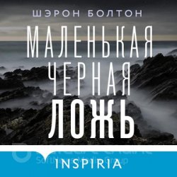 Маленькая чёрная ложь (Аудиокнига)