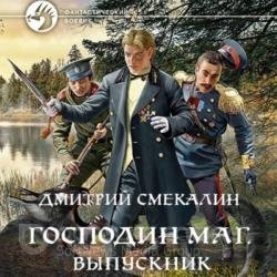 Господин маг. Выпускник (Аудиокнига)