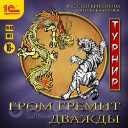 Гром гремит дважды. Турнир (Аудиокнига)