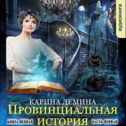 Провинциальная история. Кига 1. Часть 1 (Аудиокнига)