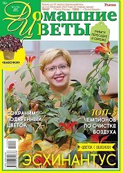 Домашние цветы №3 2022