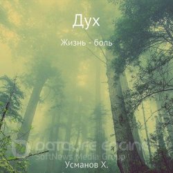 Дух. Жизнь – боль (Аудиокнига)