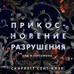 Прикосновение разрушения (Аудиокнига)