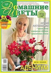 Домашние цветы №9 2022