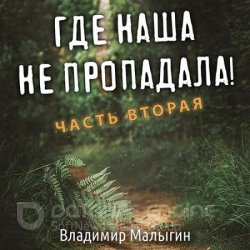 Где наша не пропадала! Часть 2 (Аудиокнига)