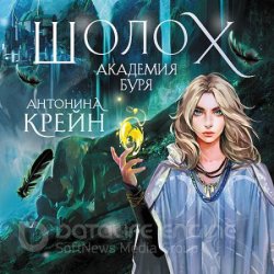 Шолох. Академия Буря (Аудиокнига)