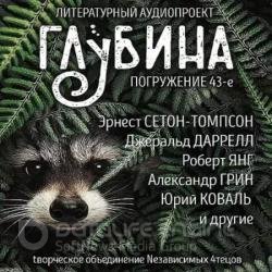 Сборник рассказов ГЛУБИНА (выпуск 43) (Аудиокнига)