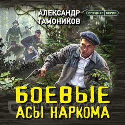 Боевые асы наркома (Аудиокнига)