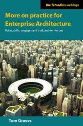 More on practice for Enterprise Architecture : Roles, skills, engagement and problem-issues