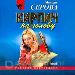 Кирпич на голову (Аудиокнига)