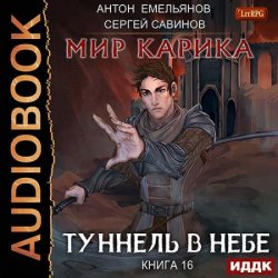 Мир Карика. Туннель в небе (Аудиокнига)