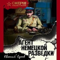 Агент немецкой разведки (Аудиокнига)