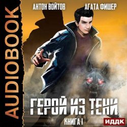 Герой из тени. Книга 1 (Аудиокнига)