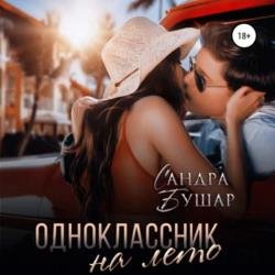 Одноклассник на лето (Аудиокнига)