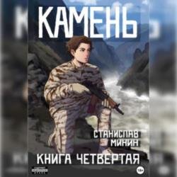 Камень. Книга четвертая (Аудиокнига)