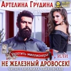 Укротить миллионера, или Не железный Дровосек (Аудиокнига)