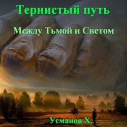 Тернистый путь. Между Тьмой и Светом (Аудиокнига)