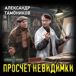 Просчет невидимки (Аудиокнига)