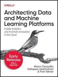 Architecting Data and Machine Learning Platforms (Second Early Release)