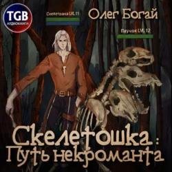 Скелетошка: Путь некроманта (Аудиокнига)