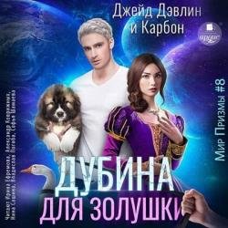 Дубина для Золушки (Аудиокнига)