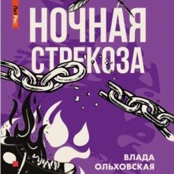 Ночная стрекоза (Аудиокнига)