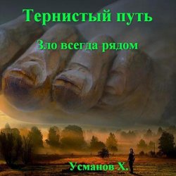 Тернистый путь. Зло всегда рядом (Аудиокнига)