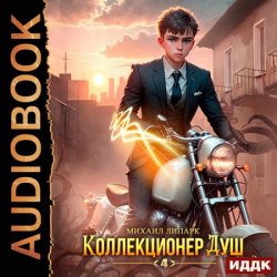 Коллекционер душ. Книга 4 (Аудиокнига)