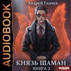 Князь шаман. Книга 2 (Аудиокнига)