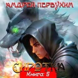 Сиротка. Книга 5 (Аудиокнига)