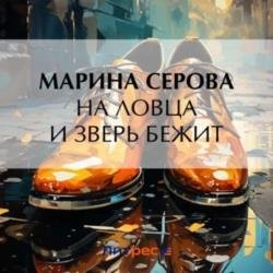 На ловца и зверь бежит (Аудиокнига)