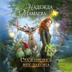 Стажировка вне закона (Аудиокнига)