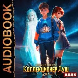 Коллекционер душ, Книга 6. Финал (Аудиокнига)