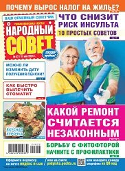 Народный совет №22 2024