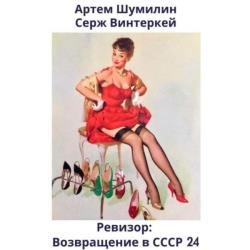 Ревизор: возвращение в СССР 24 (Аудиокнига)