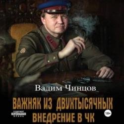 Важняк из двухтысячных. Внедрение в ЧК (Аудиокнига)