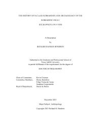The History of H-class Submarines and Archaeology of the Submarine USS H-1 (Ex-Seawolf) (1913-1920)