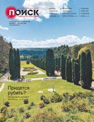 Поиск №28-29 2025